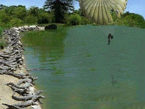 sky diver